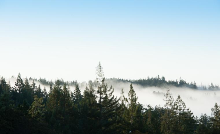 Mount Madonna 2016 122 Copy