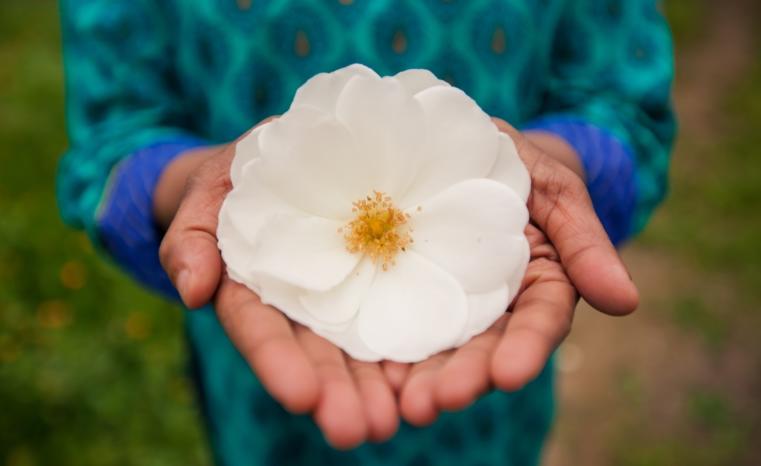 hands holding flower