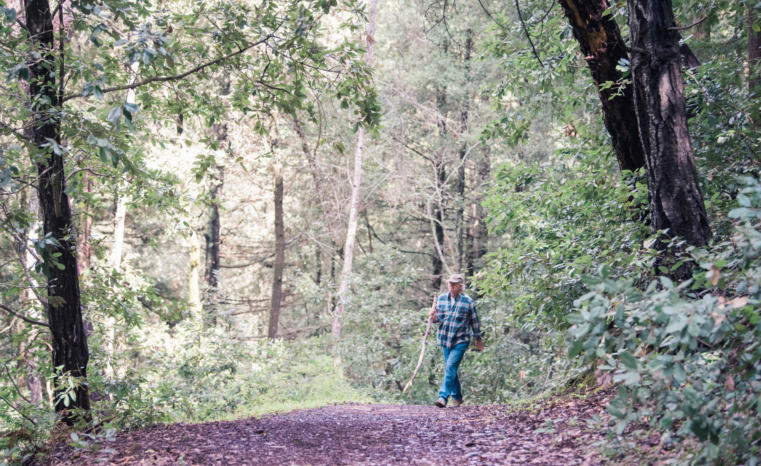 Hike In Woods Man