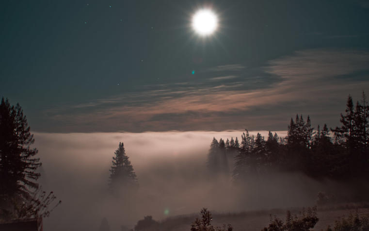 Foggy night