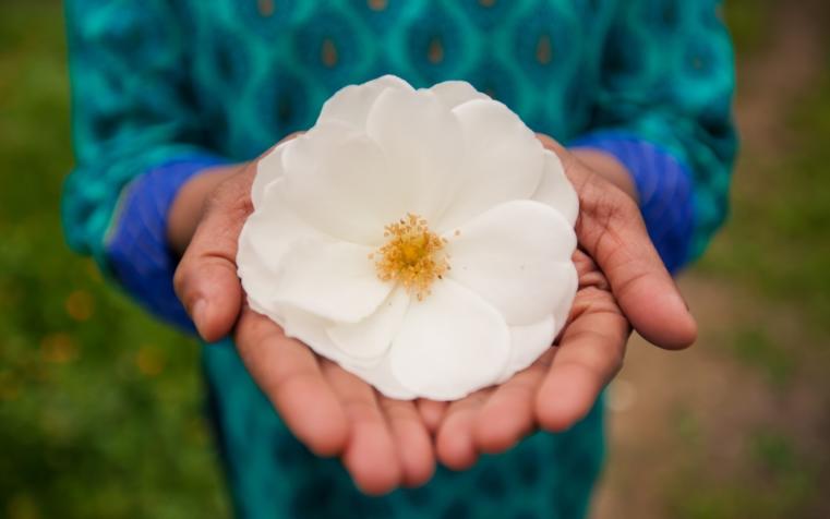 hands holding flower