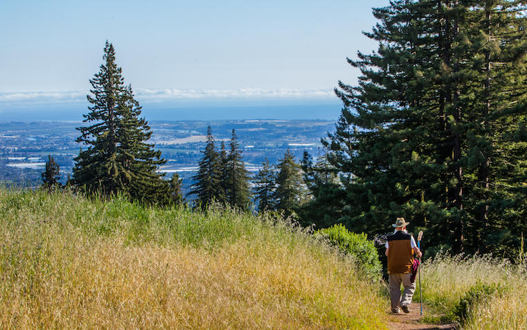 Hiking With View