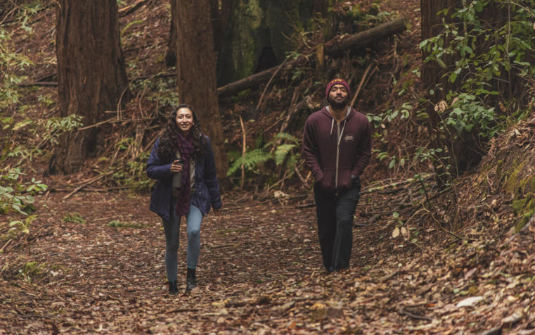 Walking In The Woods