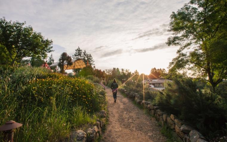 walking path