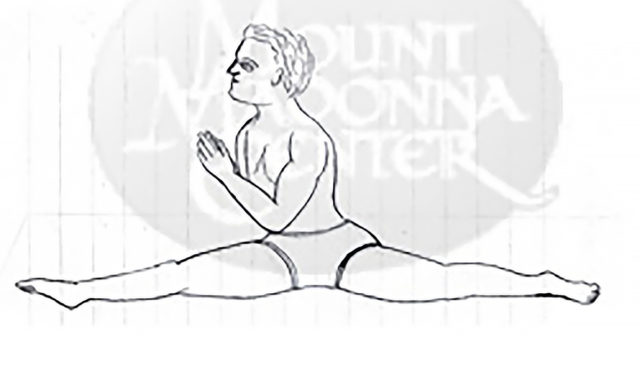 Sketches from Babaji's Notebook: Hanumanāsana