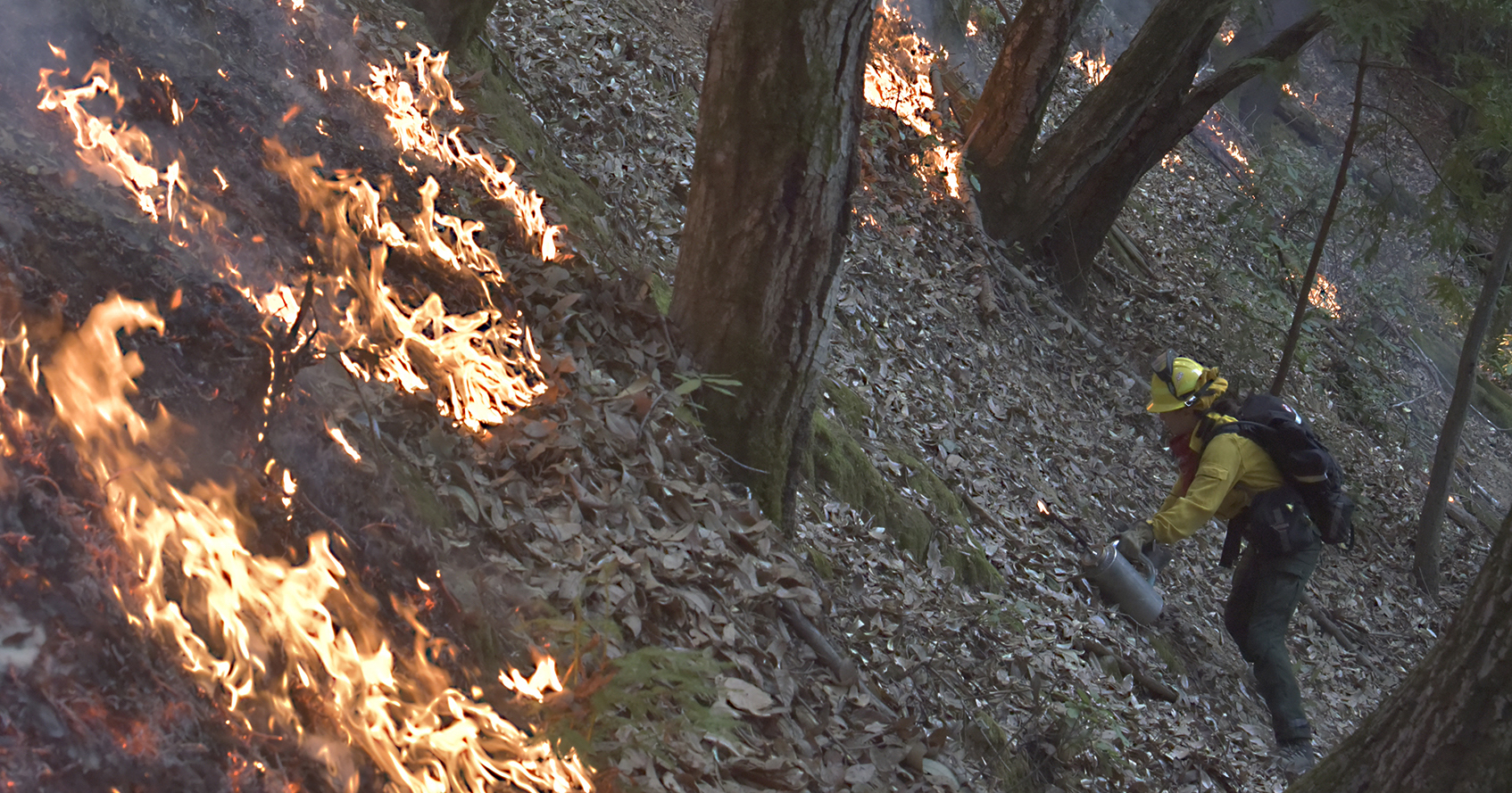 Bringing the “Good Fire” - Mount Madonna Center